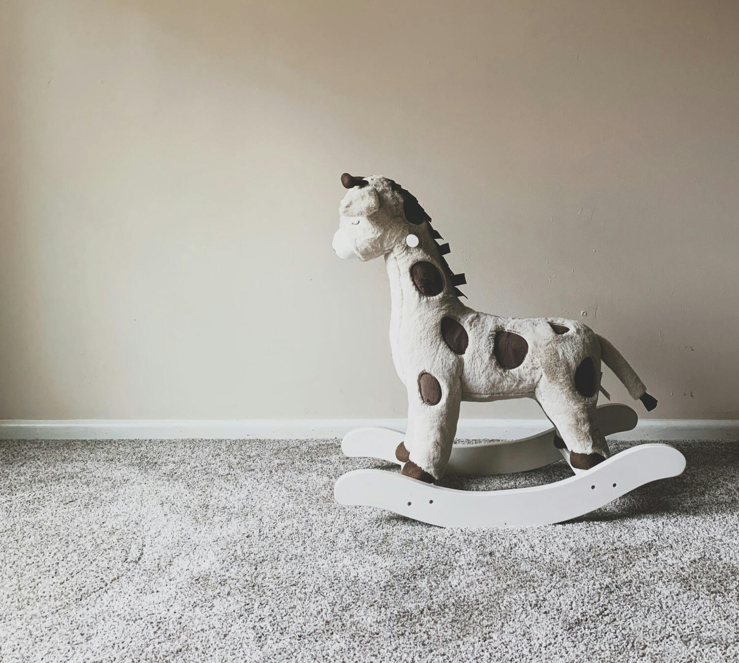 Photo by nicole dusseljee on Unsplash